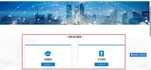 信息技術(shù)咨詢 1+x成績(jī)查詢及職業(yè)技能等級(jí)證書(shū)下載超詳細(xì)指南
